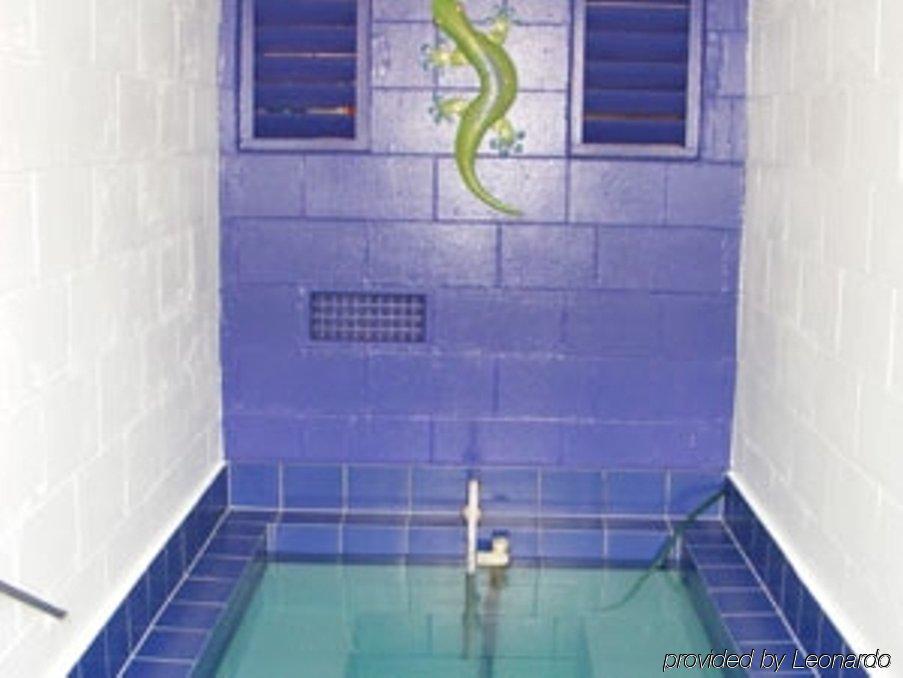 רוטורואה Victoria Lodge מראה חיצוני תמונה
